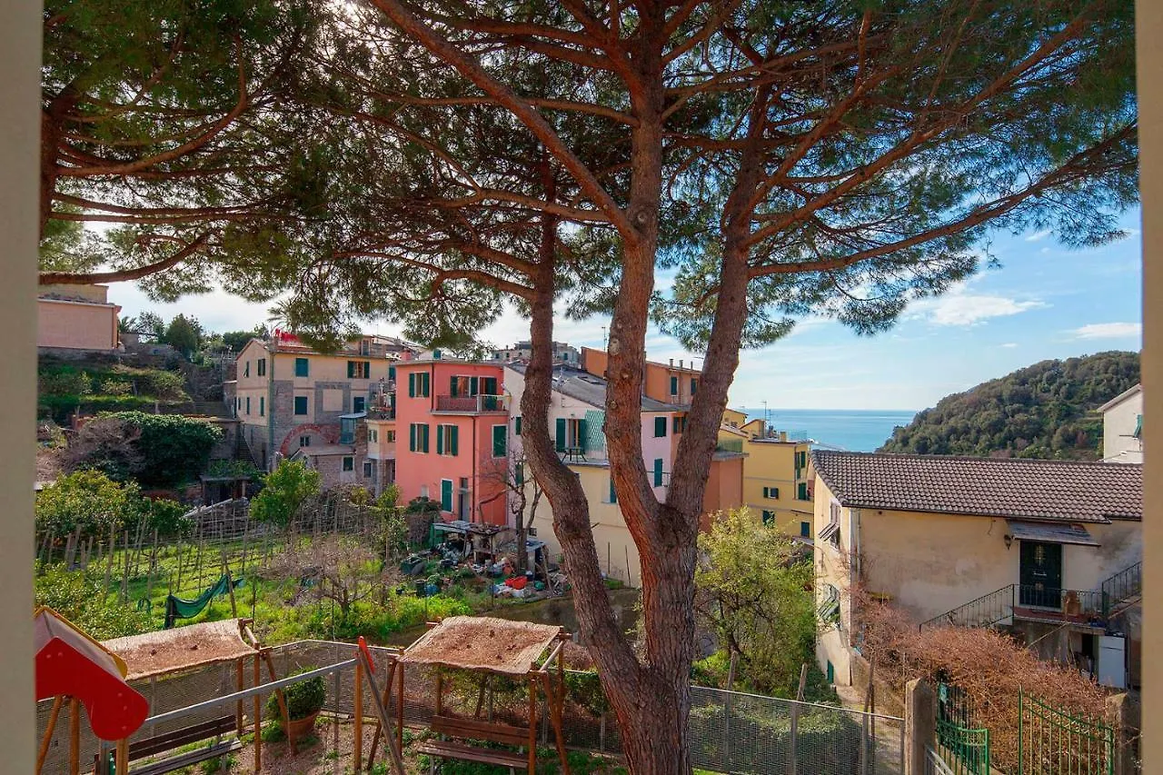 Ostello Corniglia 0*,